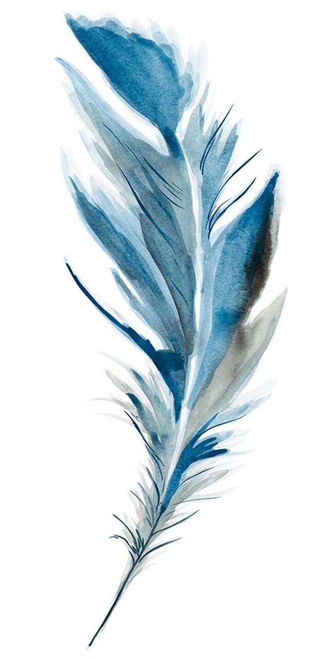 Midnight Ii Poster Print by Corrie Golden - Item # VARPDXPOD60476